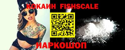 крисы Абакан