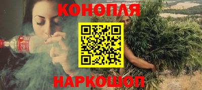 крисы Абакан