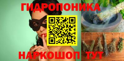 крисы Абакан