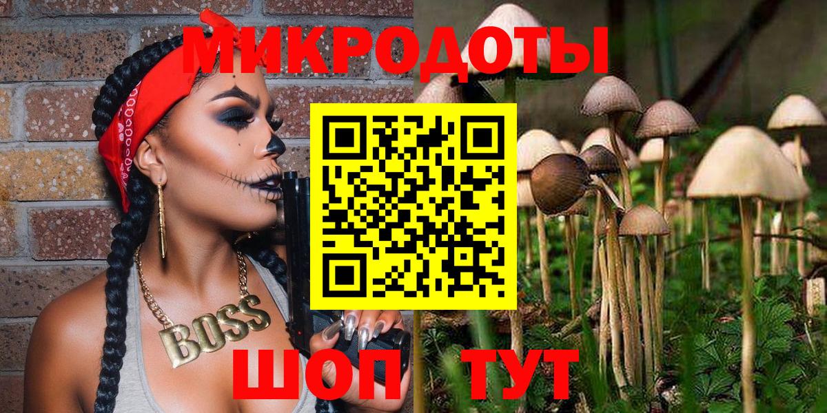 Псилоцибиновые грибы мухоморы Апатиты
